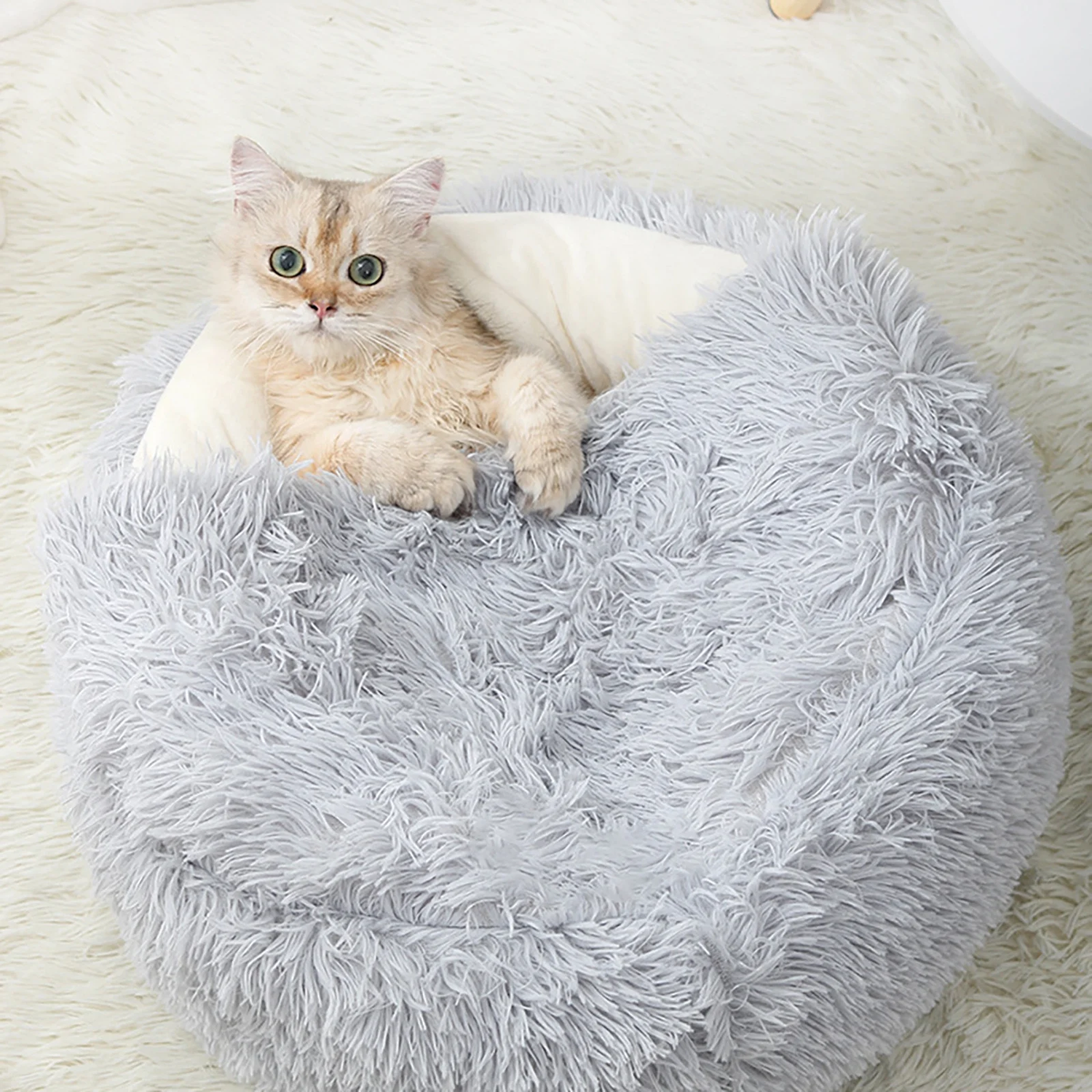 Relaxing Pet Beds